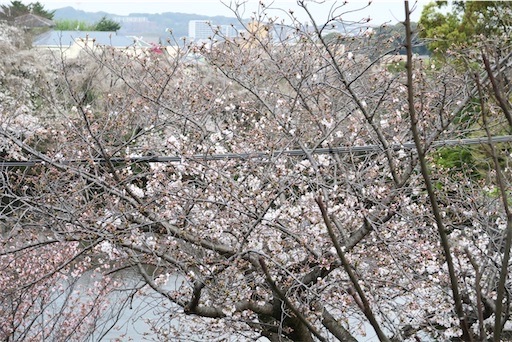 f:id:oakoak:20250331201641j:image f:id:oakoak:20250331201641j:image