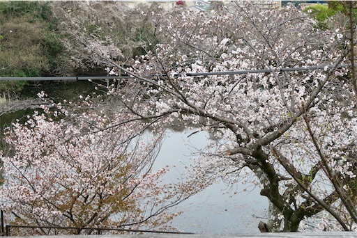 f:id:oakoak:20250401075651j:image f:id:oakoak:20250401075651j:image