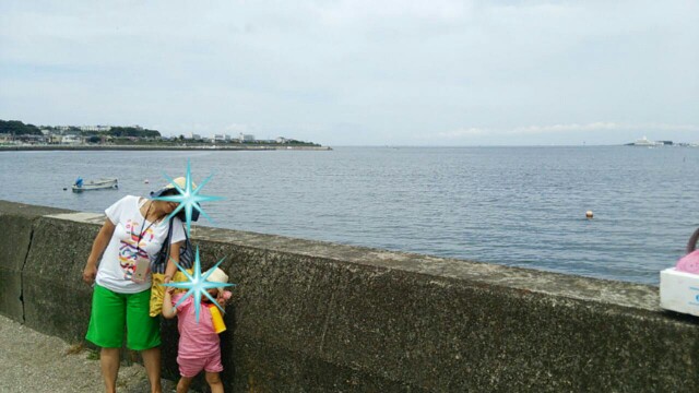 f:id:oasi-su:20160614232519j:plain