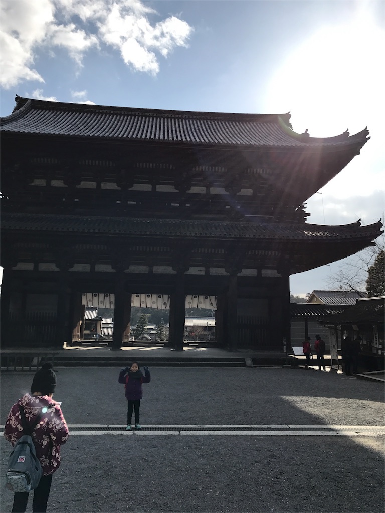 f:id:oasismath:20170105224930j:image