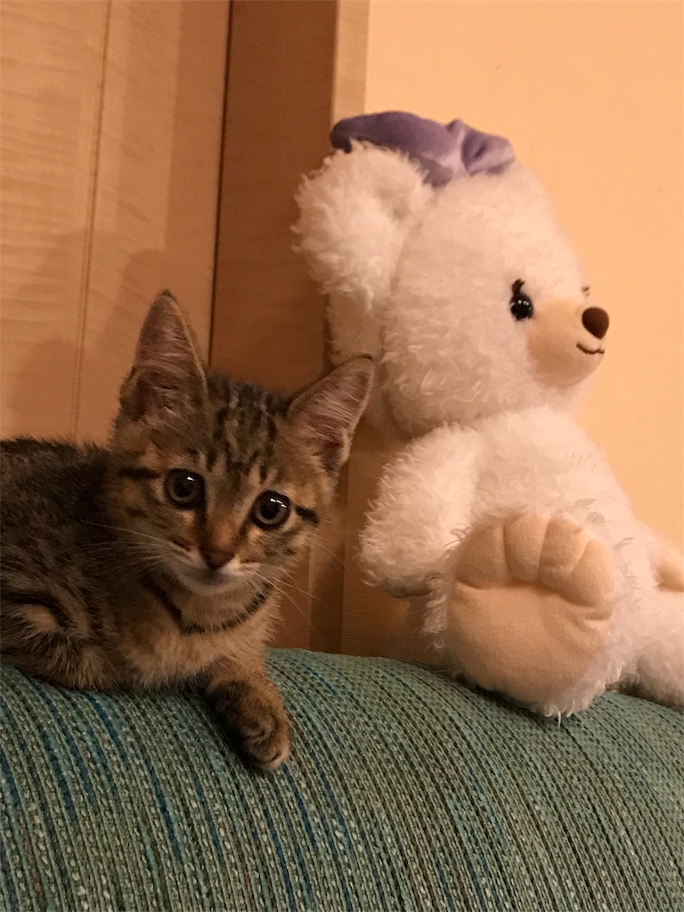 f:id:oasismath:20170611200421j:image