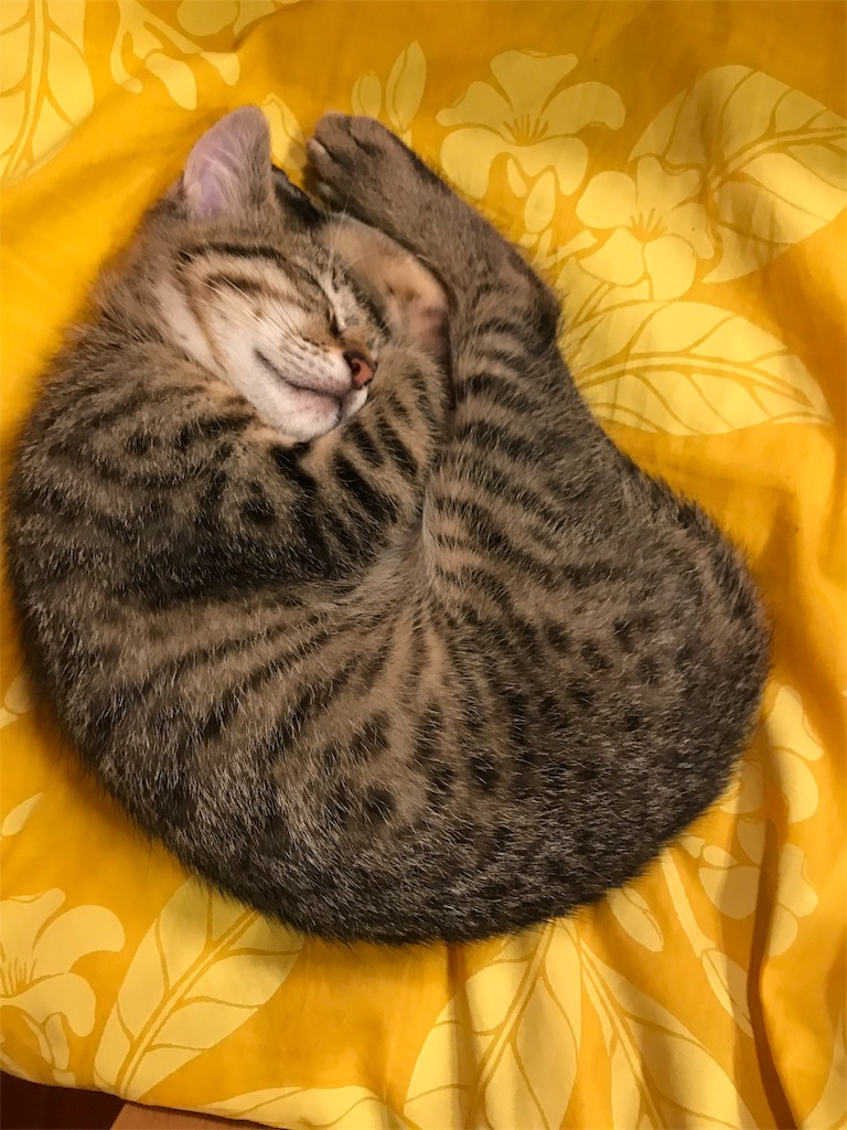 f:id:oasismath:20170614210947j:image