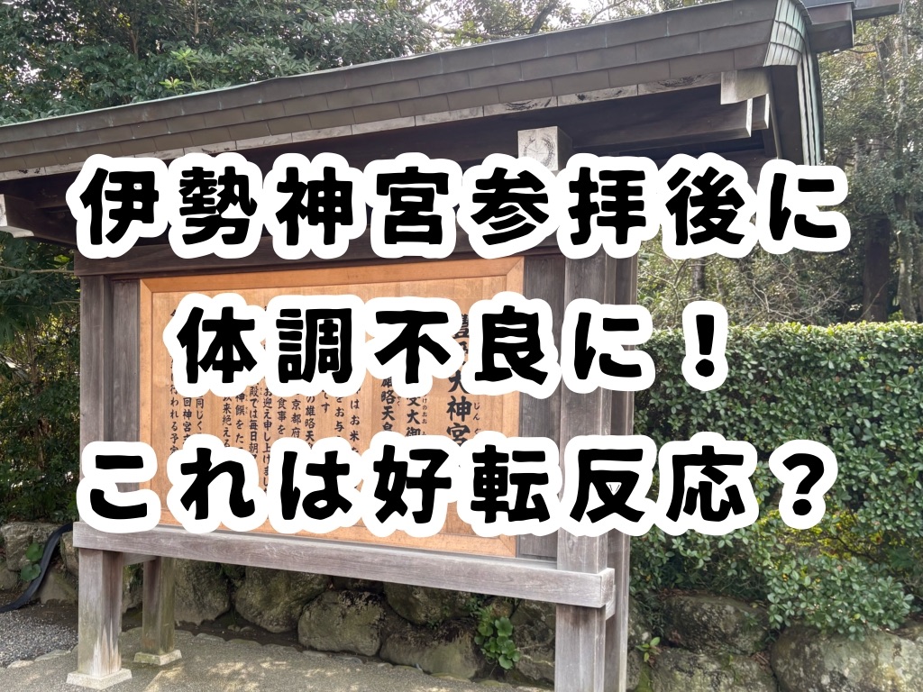 f:id:oba-sun:20260101151107j:image f:id:oba-sun:20260101151107j:image
