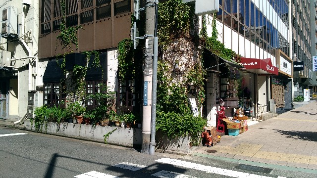 f:id:obachandori:20190925161612j:image