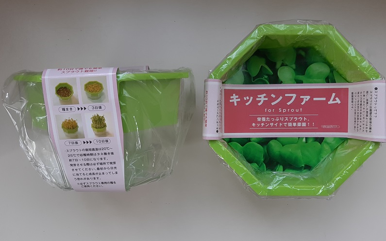 ブロッコリースプラウト水耕栽培の臭い対策 おばちゃんお得情報奮闘記