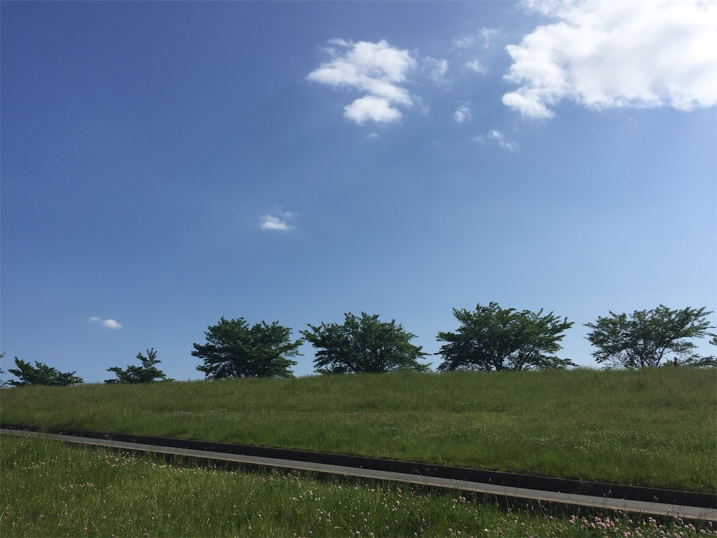 f:id:obajpn:20190517182303j:image
