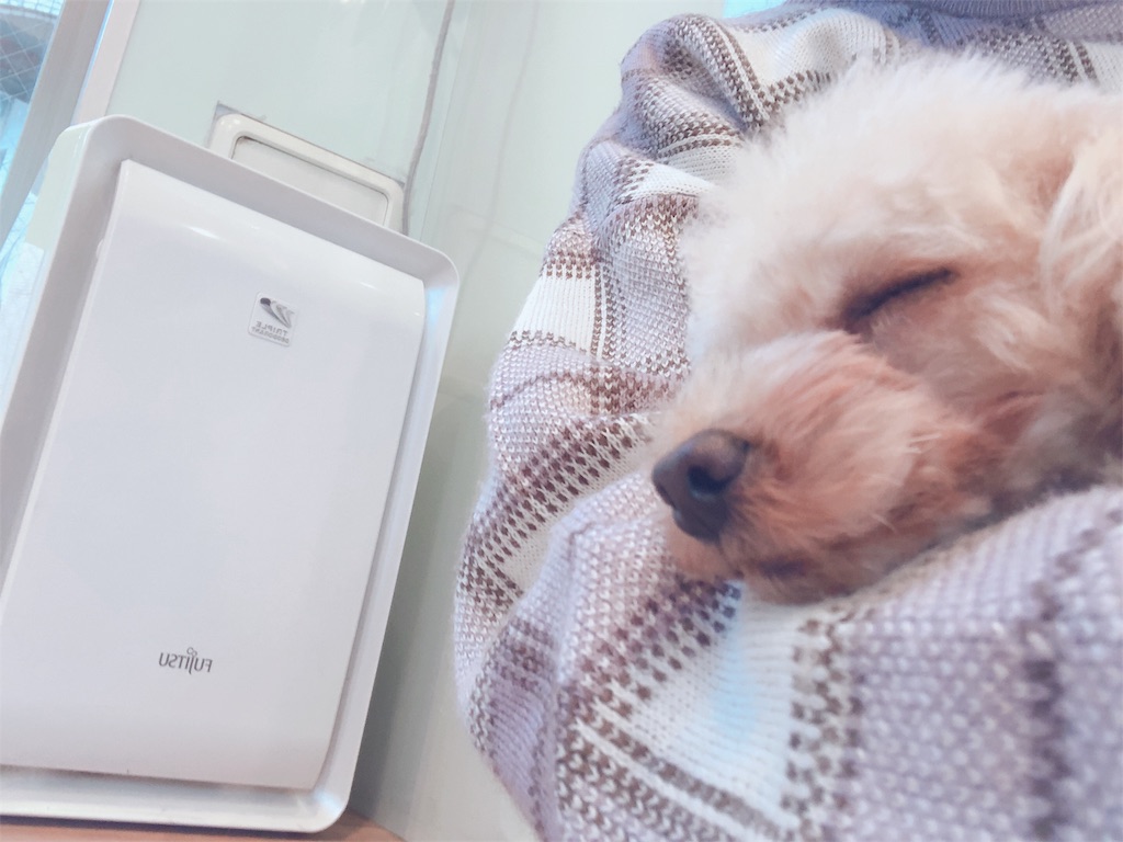 f:id:obake_ghost:20191228233354j:image f:id:obake_ghost:20191228233354j:image