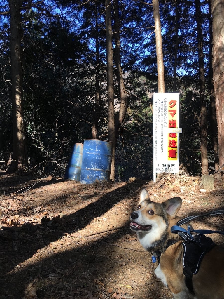 f:id:obakediary:20190126123129j:plain f:id:obakediary:20190126123129j:plain