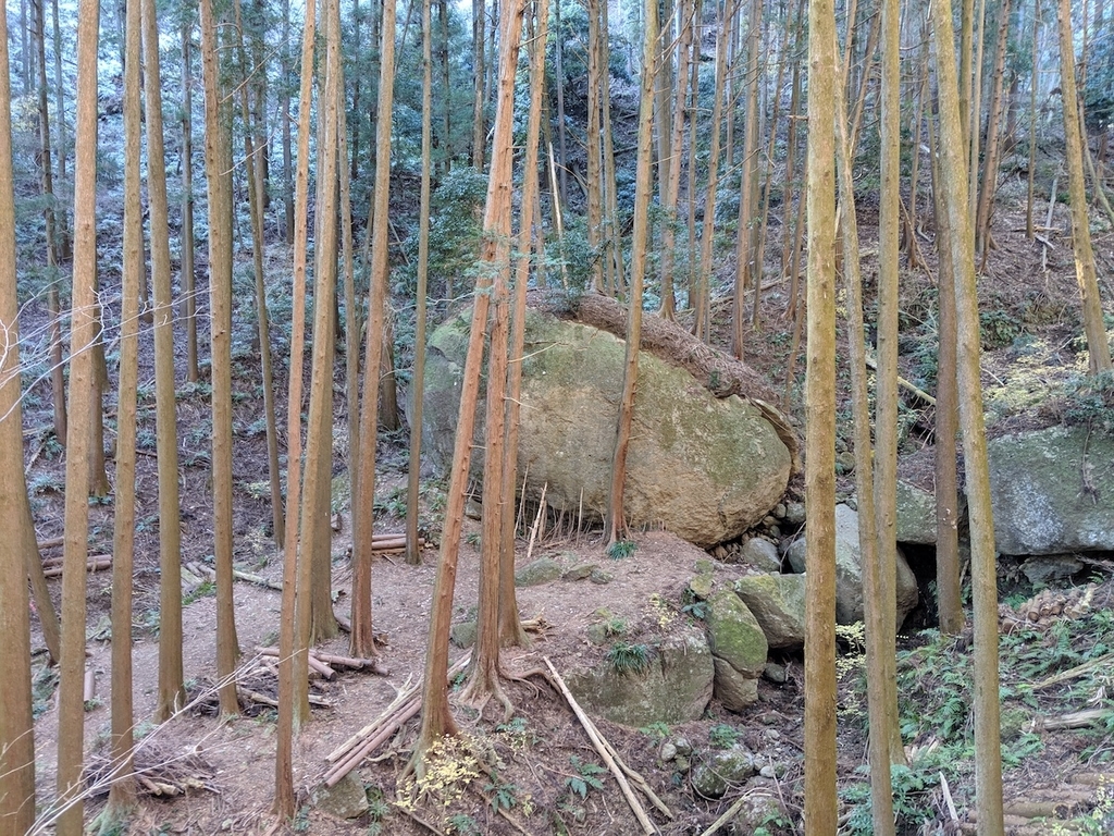 f:id:obakediary:20190126133548j:plain f:id:obakediary:20190126133548j:plain