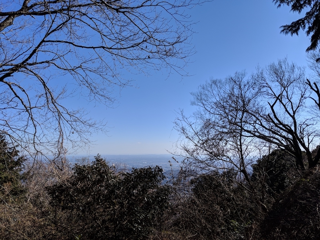 f:id:obakediary:20190126134201j:plain f:id:obakediary:20190126134201j:plain