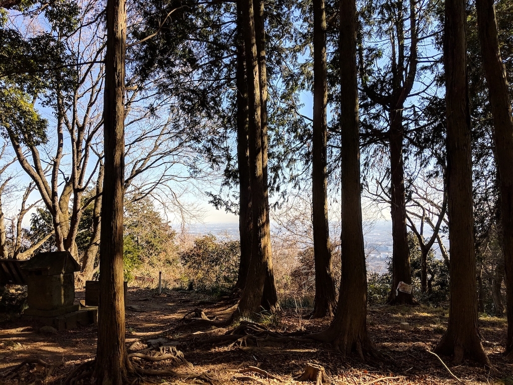 f:id:obakediary:20190126134405j:plain f:id:obakediary:20190126134405j:plain