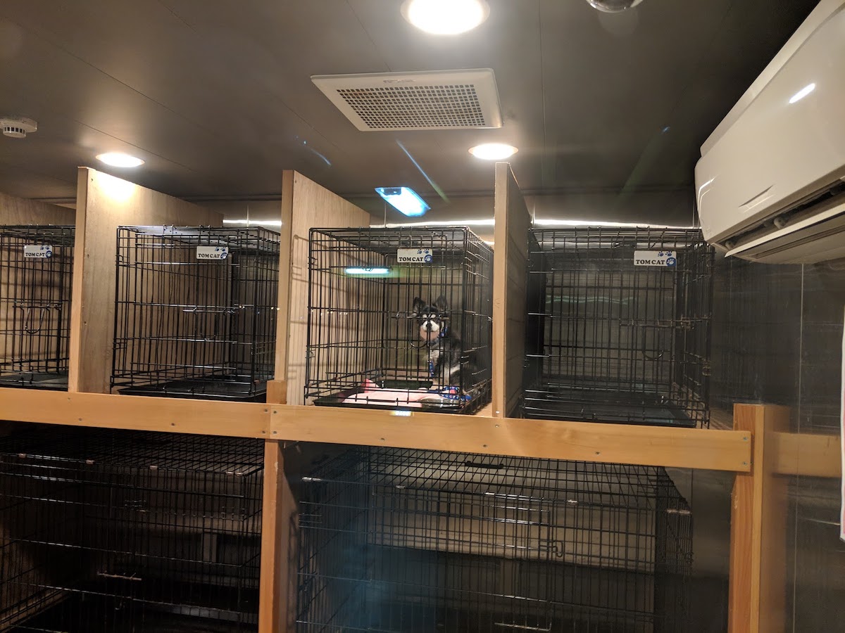 f:id:obakediary:20190420174318j:plain f:id:obakediary:20190420174318j:plain