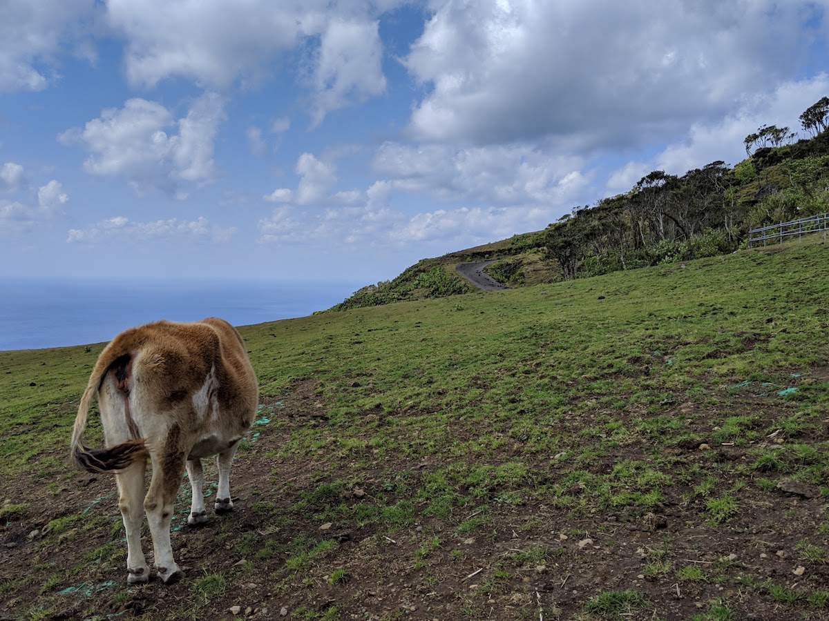 f:id:obakediary:20190420180017j:plain f:id:obakediary:20190420180017j:plain