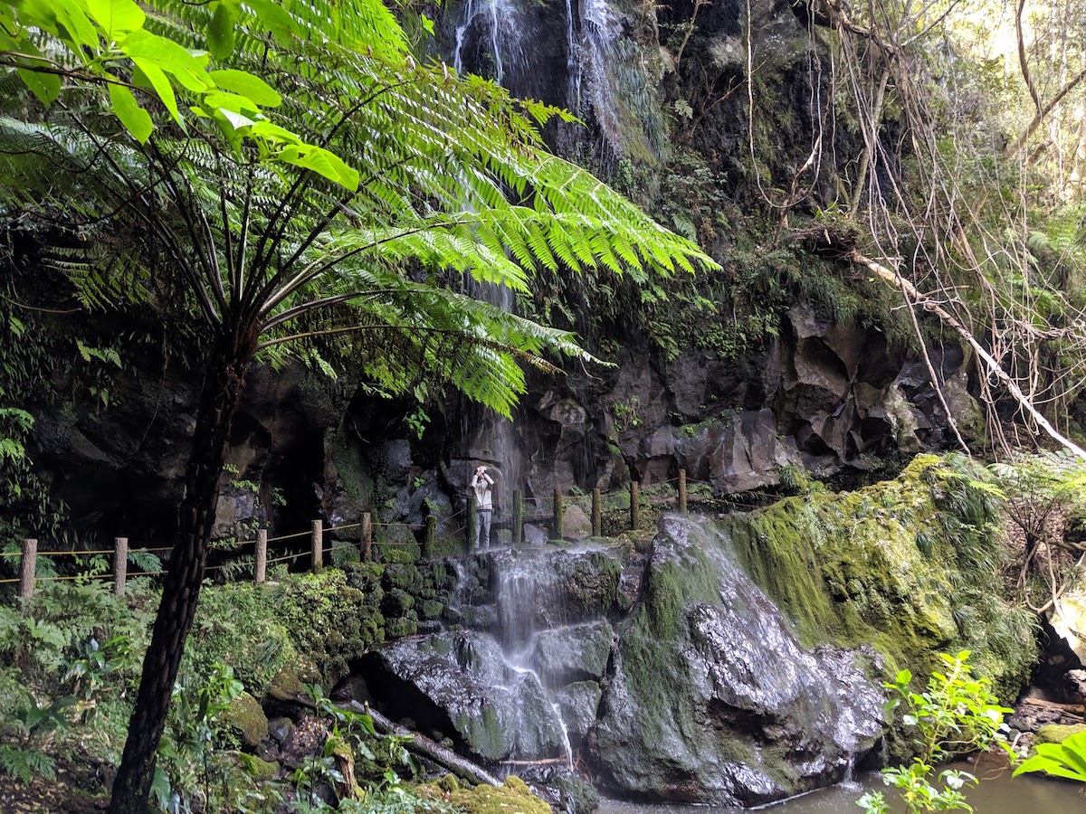f:id:obakediary:20190421063343j:plain f:id:obakediary:20190421063343j:plain