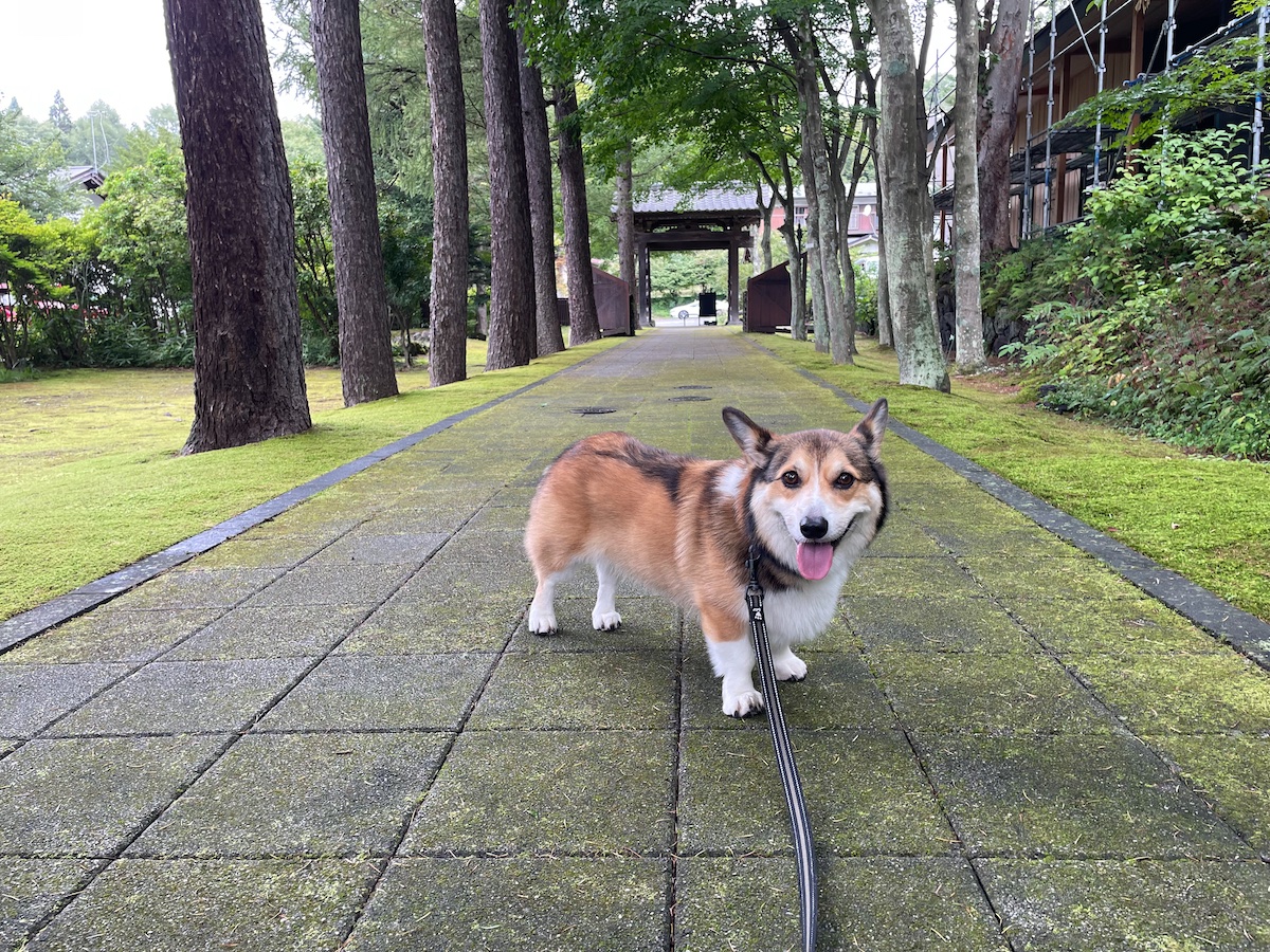 軽井沢 辰雄文学記念館の写真