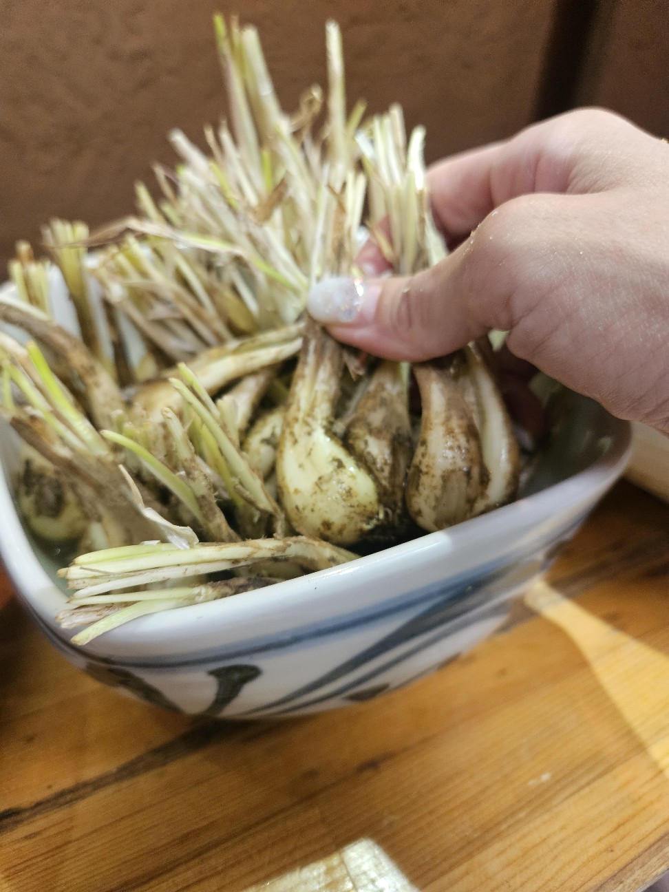 f:id:obanzaishin:20260728163148j:image f:id:obanzaishin:20260728163148j:image