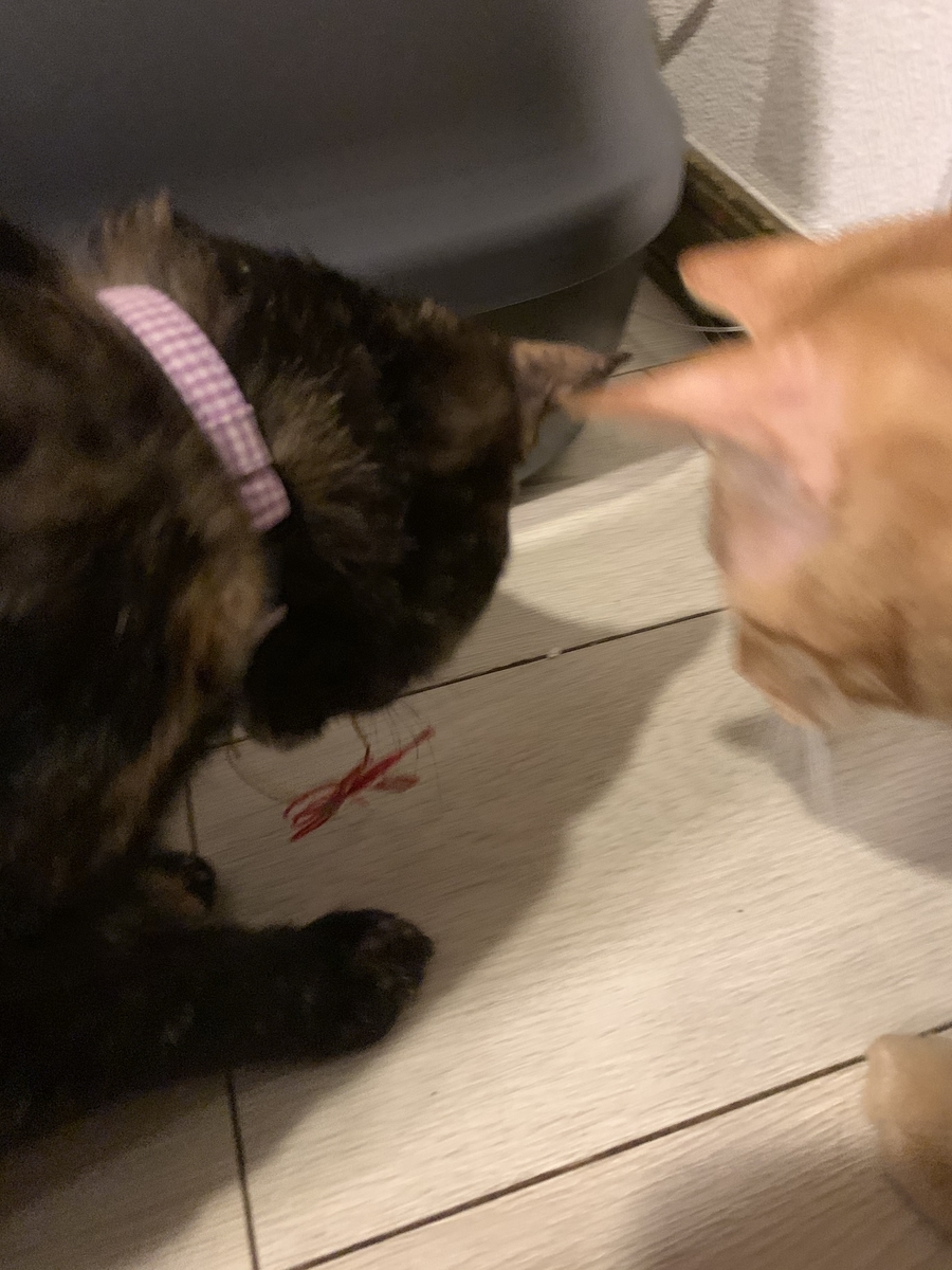 f:id:obasit-n1731:20210103172912j:plain