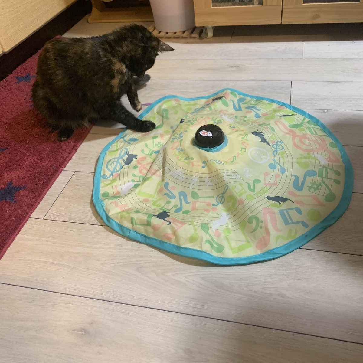 f:id:obasit-n1731:20210416211037j:plain