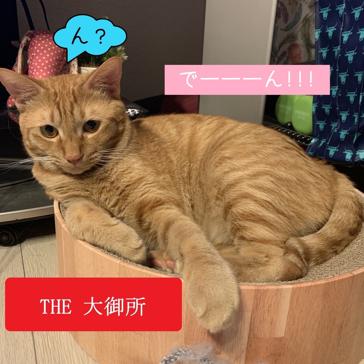 f:id:obasit-n1731:20210716201510j:plain