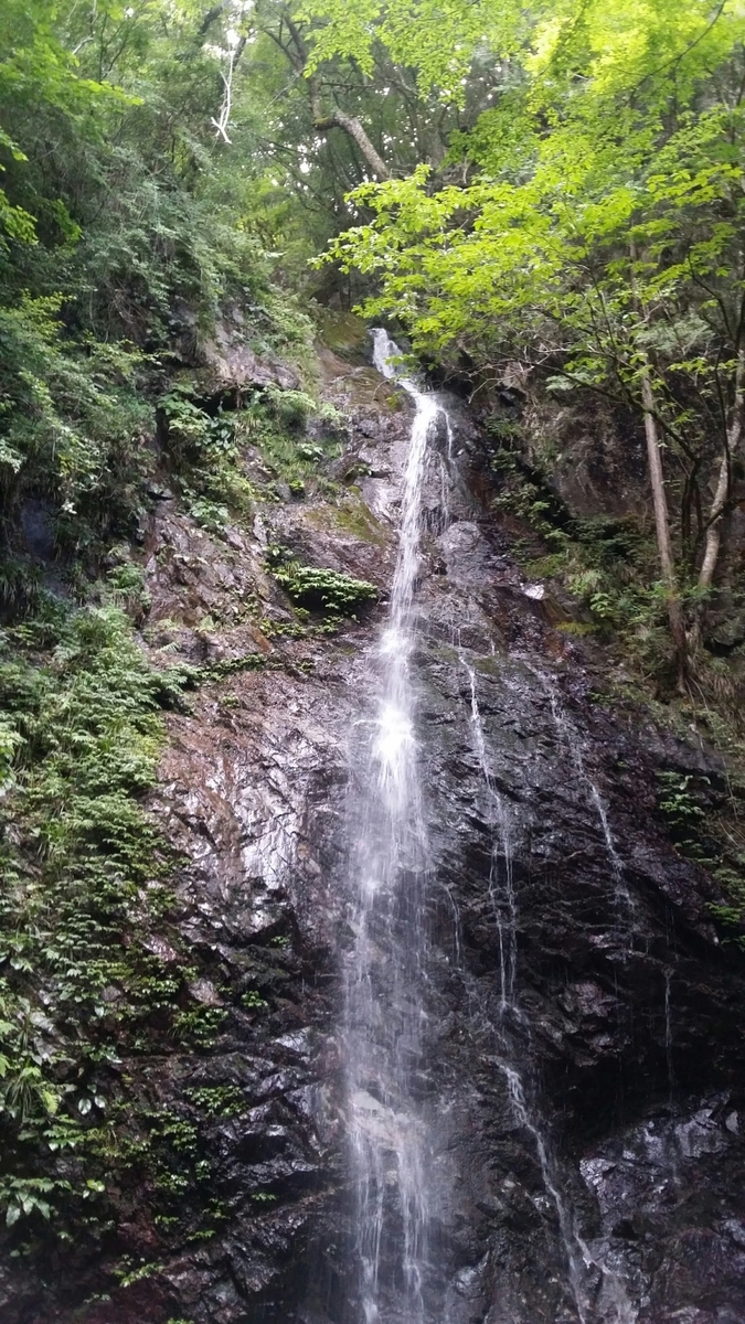f:id:obatora:20200706153611j:plain f:id:obatora:20200706153611j:plain