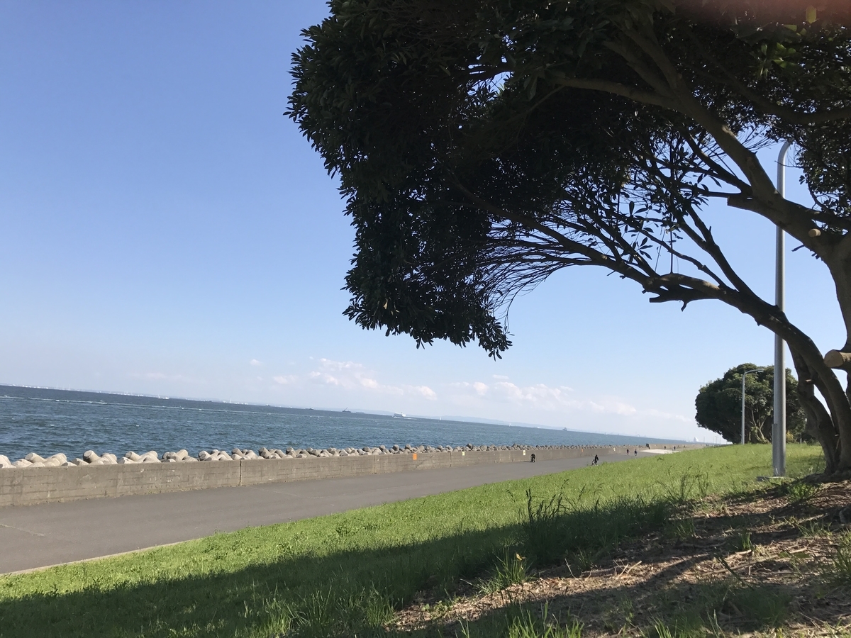 f:id:obatora:20200706155915j:plain f:id:obatora:20200706155915j:plain