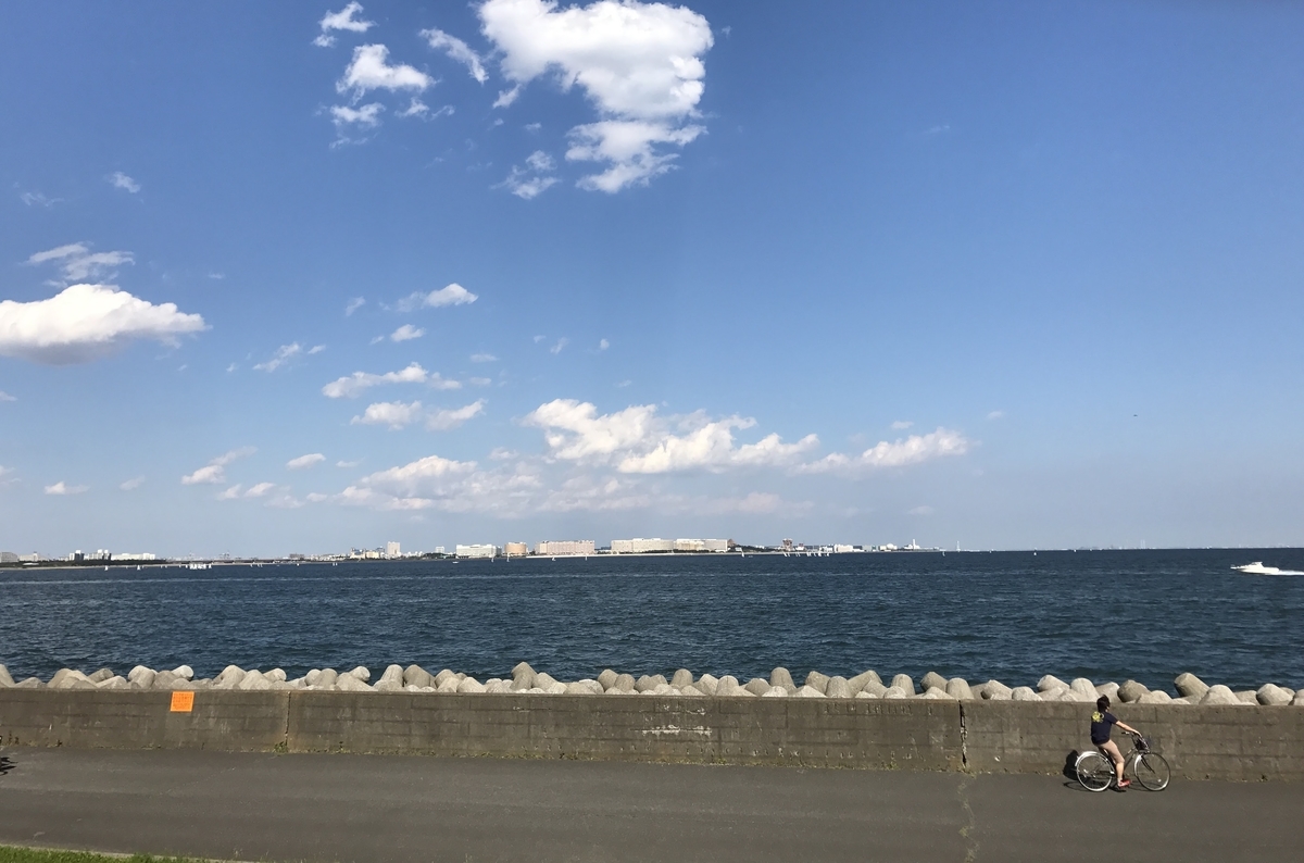 f:id:obatora:20200708153022j:plain f:id:obatora:20200708153022j:plain