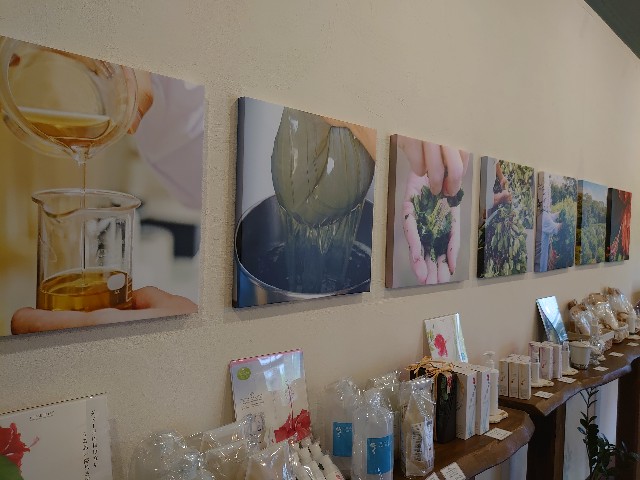 f:id:obatra:20210428201227j:image f:id:obatra:20210428201227j:image