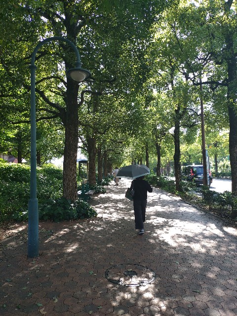 f:id:obatra:20250630075302j:image f:id:obatra:20250630075302j:image