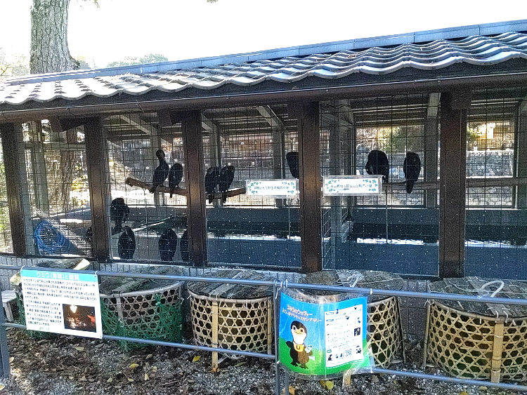 f:id:obeedakun:20211128172828j:plain