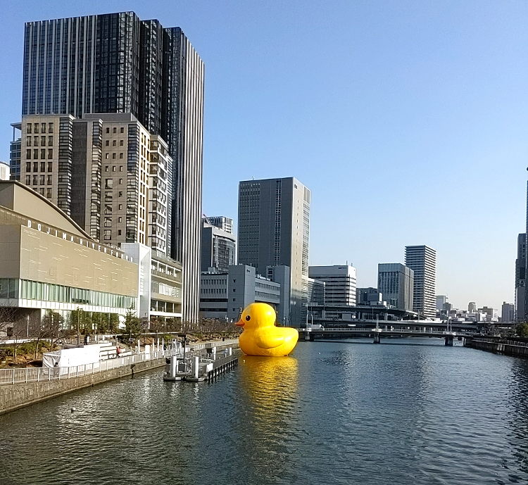 f:id:obeedakun:20211221163643j:plain