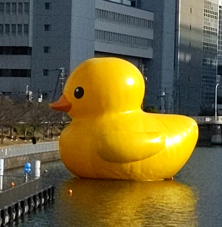 f:id:obeedakun:20211221163753j:plain