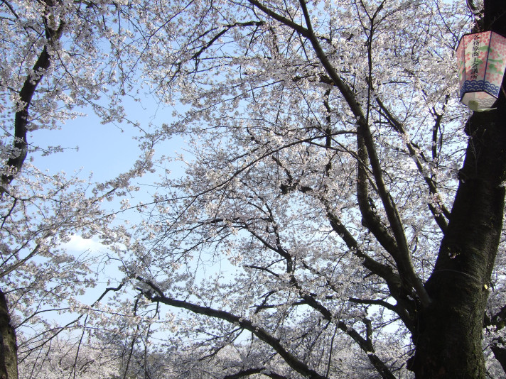 f:id:obelisk2:20100403204026j:image:w261