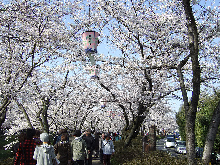 f:id:obelisk2:20100403204028j:image:w261