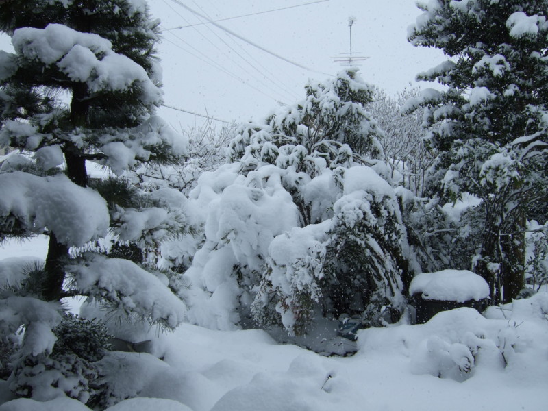 ホブズボーム 匪賊の社会史 バーンズ詩集 オベリスク備忘録