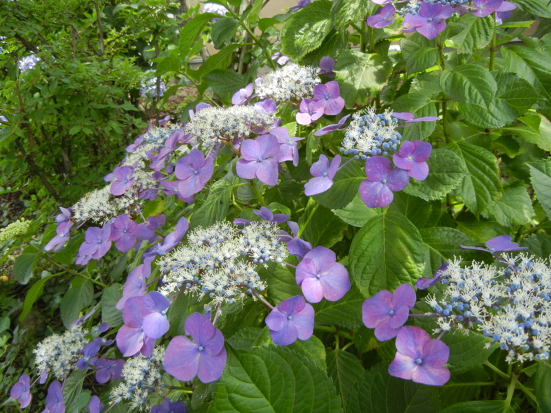 f:id:obelisk2:20120624125002j:image:w520