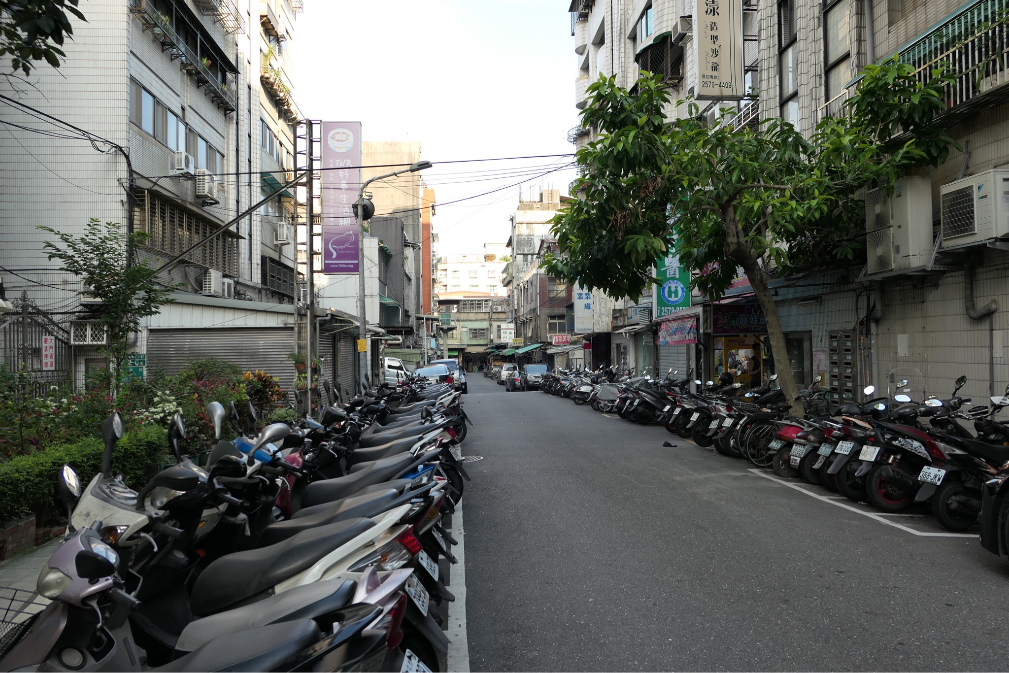 f:id:obeni935:20190713135413j:plain