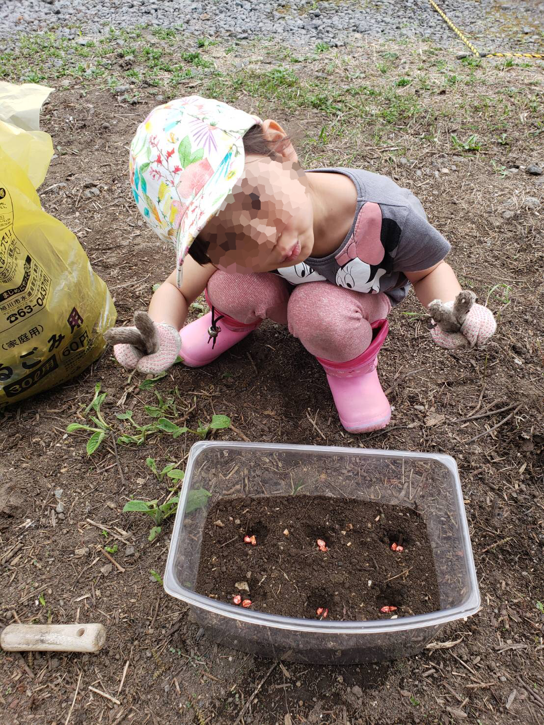 f:id:obeni935:20200513201519p:plain