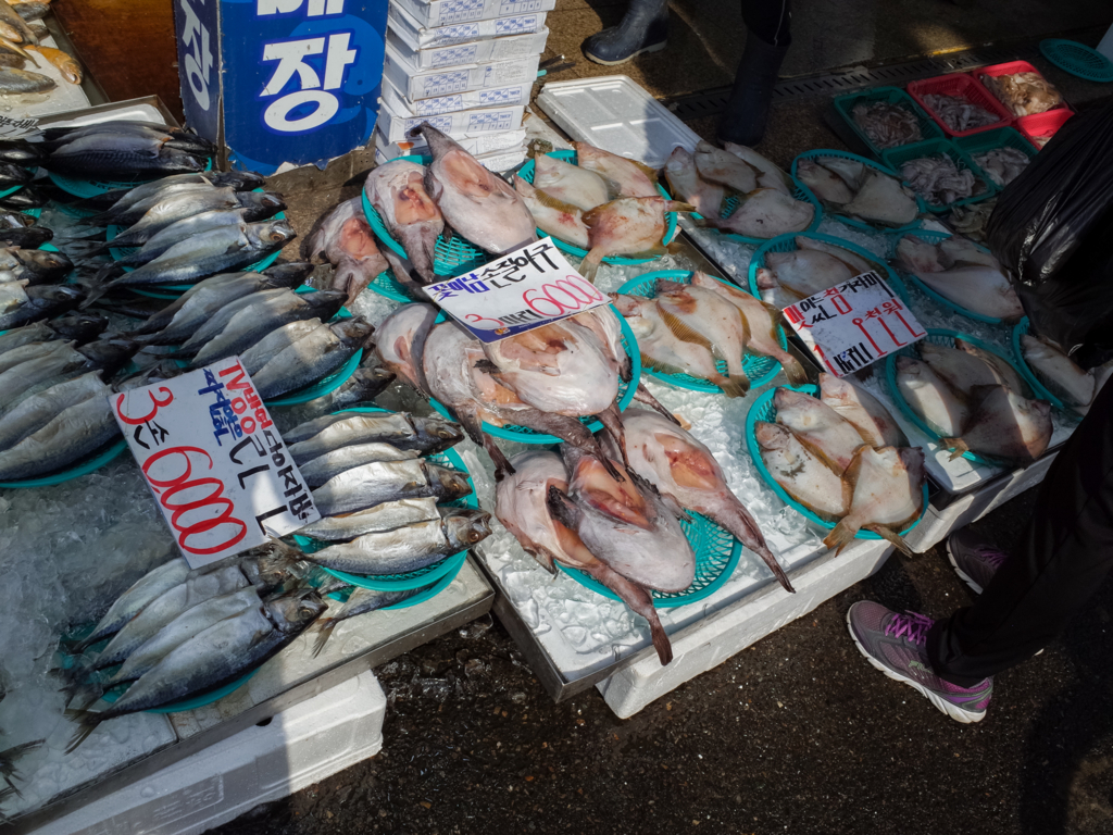 f:id:oboeterarenaikara:20170611091904j:plain f:id:oboeterarenaikara:20170611091904j:plain