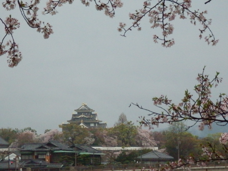 f:id:oborodukiyo22:20150405091139j:plain f:id:oborodukiyo22:20150405091139j:plain