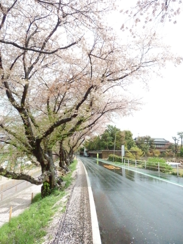 f:id:oborodukiyo22:20150405092225j:plain f:id:oborodukiyo22:20150405092225j:plain