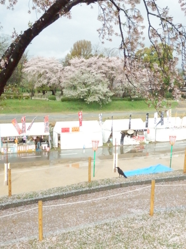 f:id:oborodukiyo22:20150405092351j:plain f:id:oborodukiyo22:20150405092351j:plain