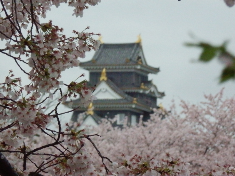 f:id:oborodukiyo22:20150405092722j:plain f:id:oborodukiyo22:20150405092722j:plain
