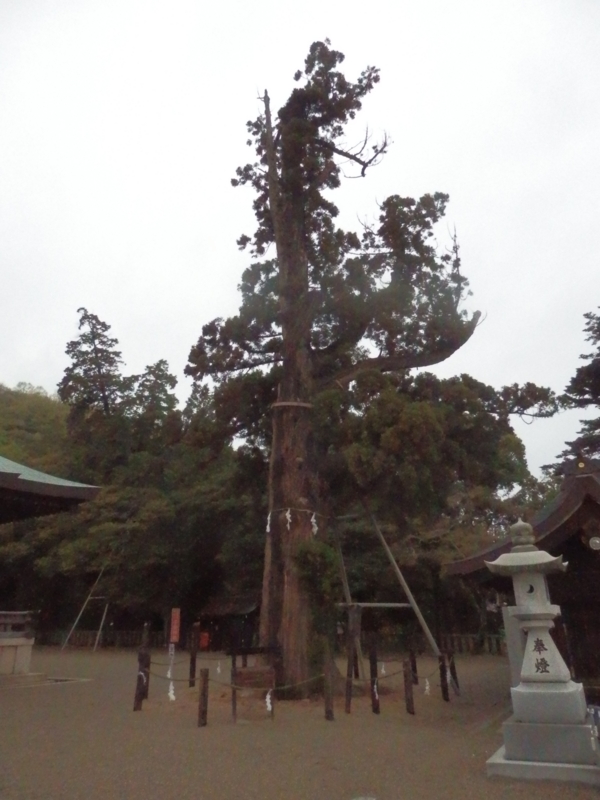 f:id:oborodukiyo22:20150405120042j:plain f:id:oborodukiyo22:20150405120042j:plain