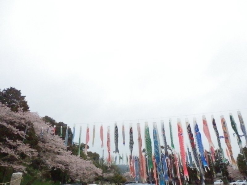 f:id:oborodukiyo22:20150405121235j:plain f:id:oborodukiyo22:20150405121235j:plain