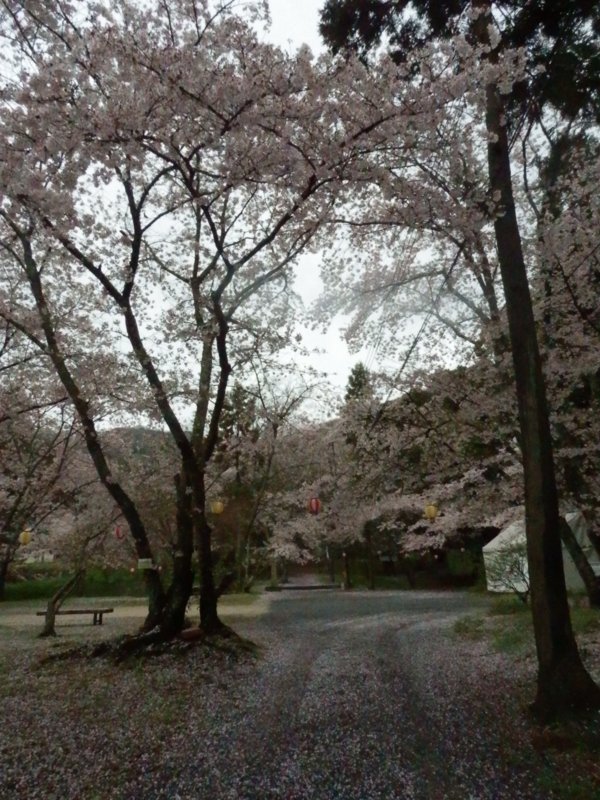 f:id:oborodukiyo22:20150405122119j:plain f:id:oborodukiyo22:20150405122119j:plain