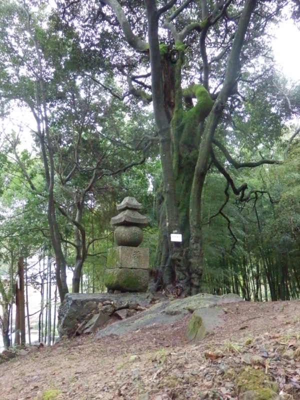 f:id:oborodukiyo22:20150405124705j:plain f:id:oborodukiyo22:20150405124705j:plain