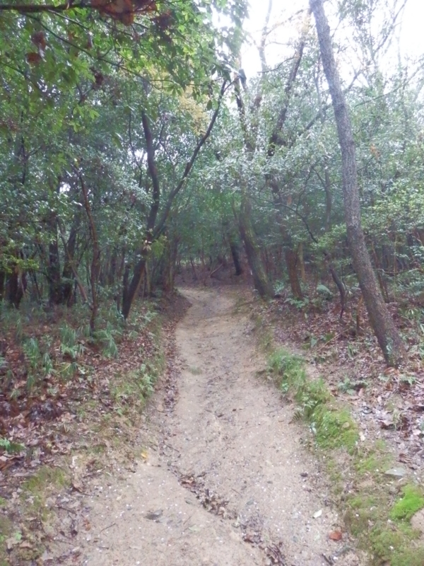 f:id:oborodukiyo22:20150405125541j:plain f:id:oborodukiyo22:20150405125541j:plain