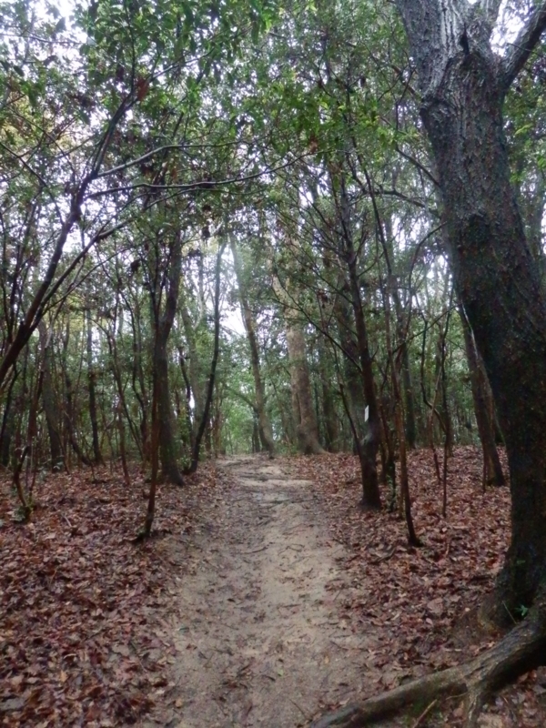 f:id:oborodukiyo22:20150405130214j:plain f:id:oborodukiyo22:20150405130214j:plain