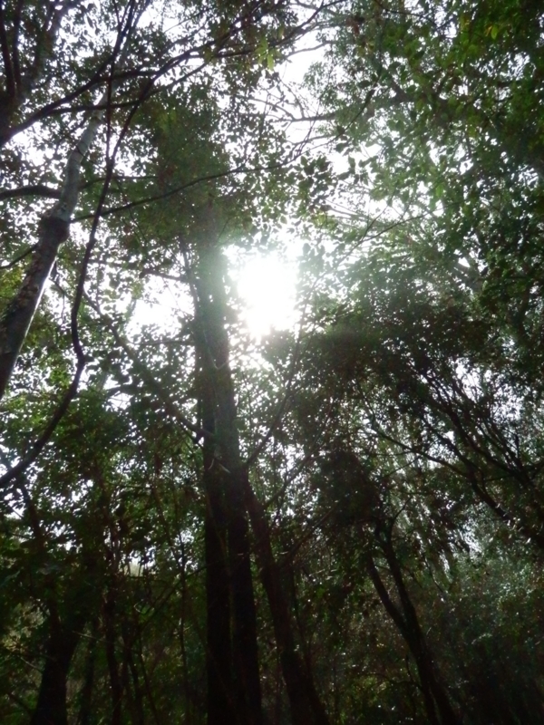 f:id:oborodukiyo22:20150405140410j:plain f:id:oborodukiyo22:20150405140410j:plain