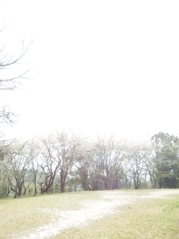 f:id:oborodukiyo22:20150405144344j:plain f:id:oborodukiyo22:20150405144344j:plain